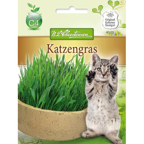 Katzengras Chrestensen interface.art Bild 1 Katzengras Chrestensen interface.image 1 interface.art 78884