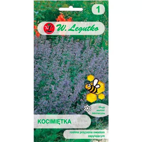 Katzenminze blau-violett Legutko interface.art Bild 1 Katzenminze blau-violett Legutko interface.image 1 interface.art 96716