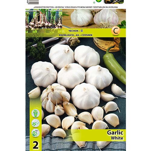 Weißer knoblauch interface.art Bild 1 Weißer knoblauch interface.image 1 interface.art 70500