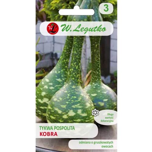 Kobra-Kalebasse Legutko interface.art Bild 1 Kobra-Kalebasse Legutko interface.image 1 interface.art 69637