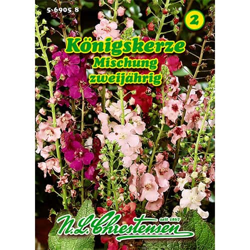 Königskerze Mischung interface.art Bild 1 Königskerze Mischung interface.image 1 interface.art 87819