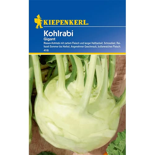 Kohlrabi Gigant Kiepenkerl interface.art Bild 1 Kohlrabi Gigant Kiepenkerl interface.image 1 interface.art 86458