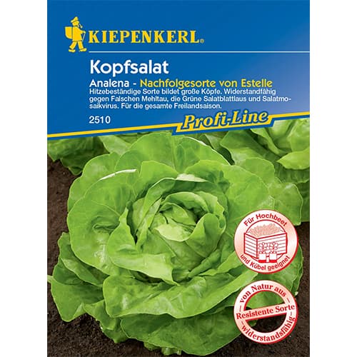Kopfsalat Analena interface.art Bild 1 Kopfsalat Analena interface.image 1 interface.art 96625