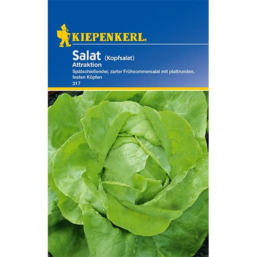 Kopfsalat Attraktion Kiepenkerl interface.art Bild 1 Kopfsalat Attraktion Kiepenkerl interface.image 1 interface.art 86460