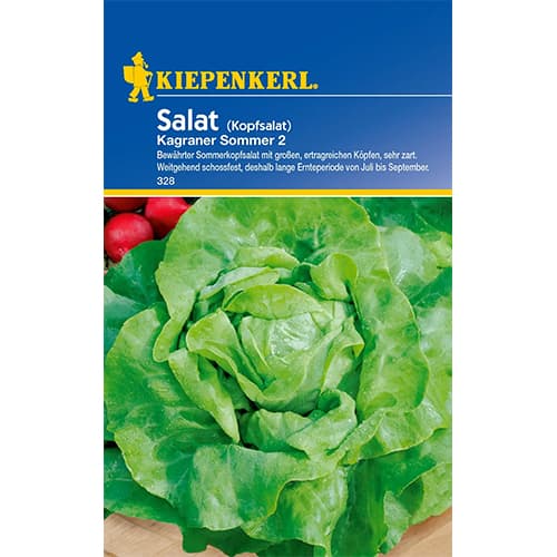Kopfsalat Kagraner Sommer 2 interface.art Bild 1 Kopfsalat Kagraner Sommer 2 interface.image 1 interface.art 86462