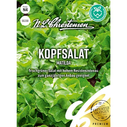 Kopfsalat Matilda interface.art Bild 1 Kopfsalat Matilda interface.image 1 interface.art 86054