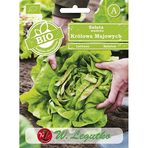 Kopfsalat May King Legutko interface.art Bild 1 Kopfsalat May King Legutko interface.image 1 interface.art 86721