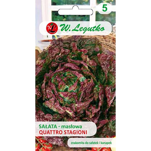 Kopfsalat Quattro stagioni interface.art Bild 1 Kopfsalat Quattro stagioni interface.image 1 interface.art 69540