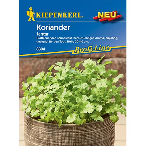 Koriander Jantar Kiepenkerl interface.art Bild 1 Koriander Jantar Kiepenkerl interface.image 1 interface.art 50014
