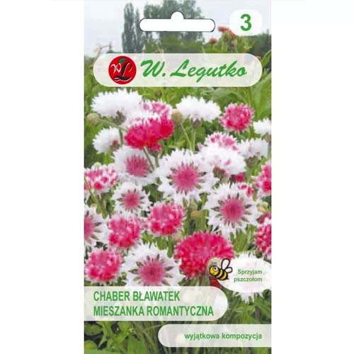 Kornblume Classic Romantic Legutko interface.art Bild 1 Kornblume Classic Romantic Legutko interface.image 1 interface.art 69574