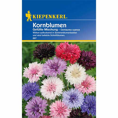 Kornblume Pastell Mix interface.art Bild 1 Kornblume Pastell Mix interface.image 1 interface.art 96553
