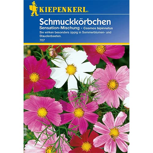 Schmuckkörbchen Sensation Mischung interface.art Bild 1 Schmuckkörbchen Sensation Mischung interface.image 1 interface.art 77400