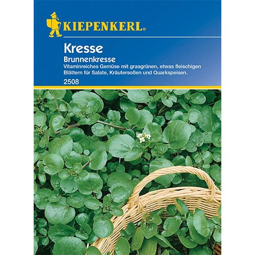 Kresse Brunenkresse interface.art Bild 1 Kresse Brunenkresse interface.image 1 interface.art 96599