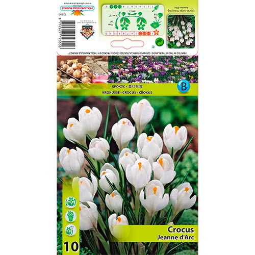 Krokus Jeanne d'Arc interface.image 1 interface.art 67332