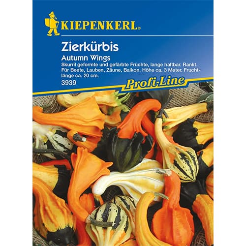 Zierkürbis Autumn Wings interface.art Bild 1 Zierkürbis Autumn Wings interface.image 1 interface.art 87267
