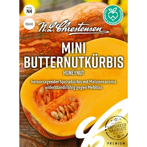 Mini Butternutkürbis Honeynut interface.art Bild 1 Mini Butternutkürbis Honeynut interface.image 1 interface.art 86061
