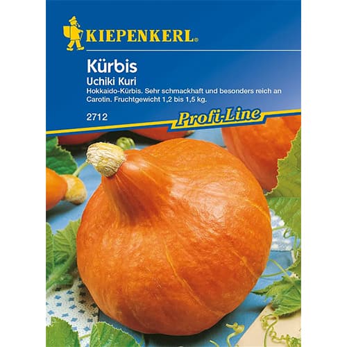 Kürbis Uchiki Kuri F1 interface.art Bild 1 Kürbis Uchiki Kuri F1 interface.image 1 interface.art 86473