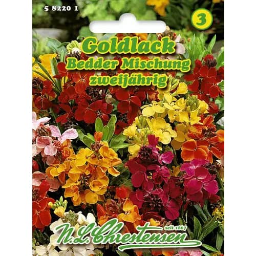 Goldlack Bedder Mischung interface.image 1 interface.art 96410