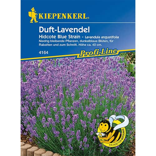 Duft - Lavendel Hidcote Blue Strain interface.image 1 interface.art 77448