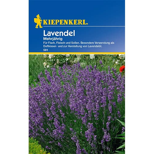Lavendel mehrjährig interface.art Bild 1 Lavendel mehrjährig interface.image 1 interface.art 77418