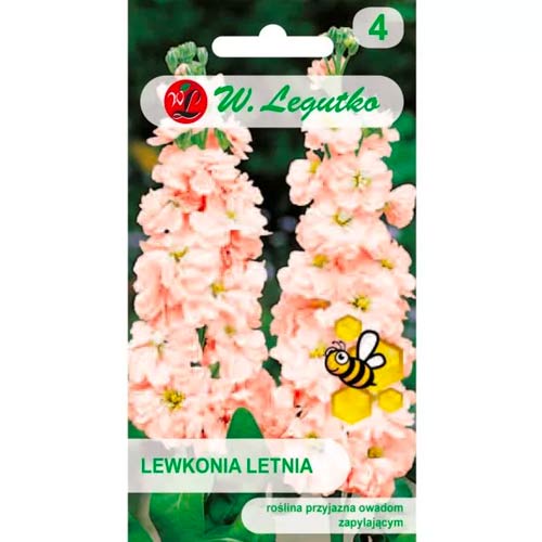 Levkoje Excelsior hellrosa Legutko interface.art Bild 1 Levkoje Excelsior hellrosa Legutko interface.image 1 interface.art 87081