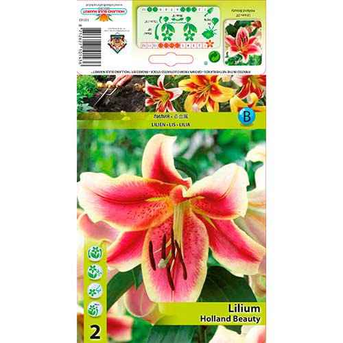 Lilie Holland Beauty interface.art Bild 1 Lilie Holland Beauty interface.image 1 interface.art 76310