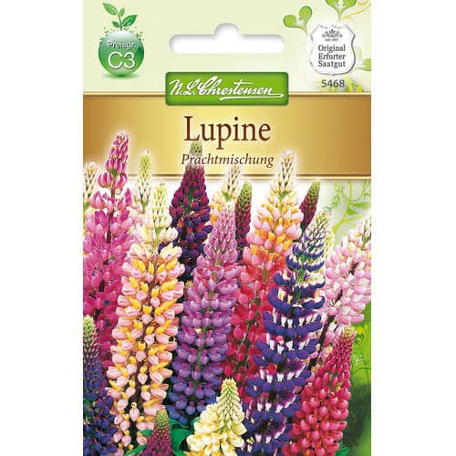 Lupine Prachtmischung Chrestensen interface.art Bild 1 Lupine Prachtmischung Chrestensen interface.image 1 interface.art 78975