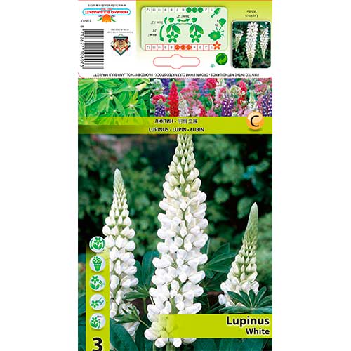 Lupine White interface.art Bild 1 Lupine White interface.image 1 interface.art 76328