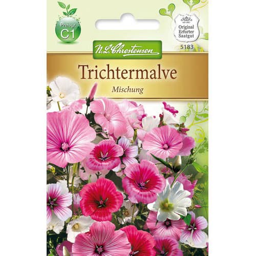 Trichtermalve Michung interface.art Bild 1 Trichtermalve Michung interface.image 1 interface.art 78922