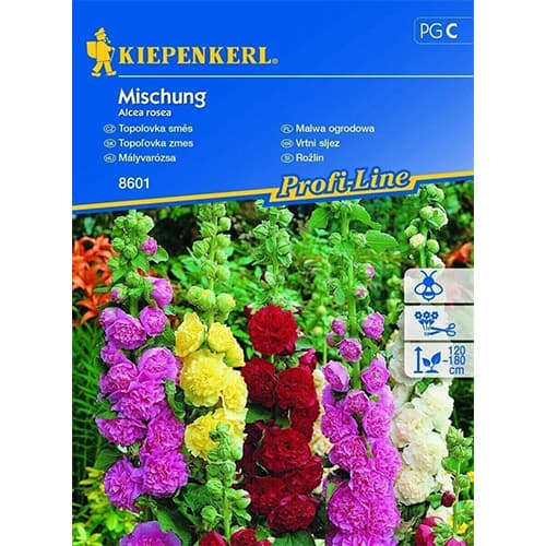 Stockrose Mischung Kiepenkerl interface.art Bild 1 Stockrose Mischung Kiepenkerl interface.image 1 interface.art 86235