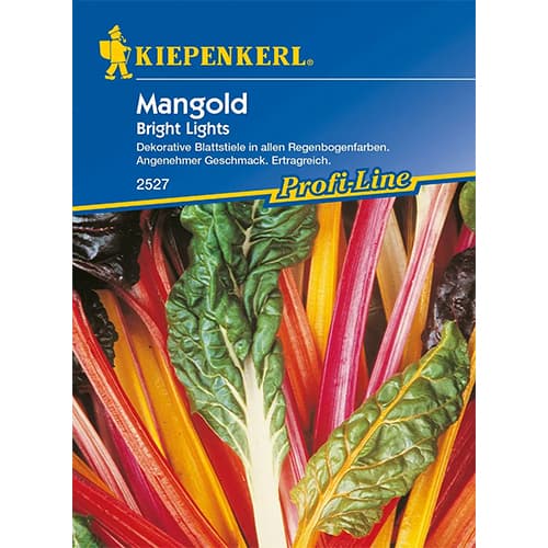 Mangold Bright Lights interface.art Bild 1 Mangold Bright Lights interface.image 1 interface.art 86476