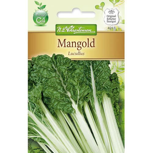 Mangold Lucullus interface.art Bild 1 Mangold Lucullus interface.image 1 interface.art 78774