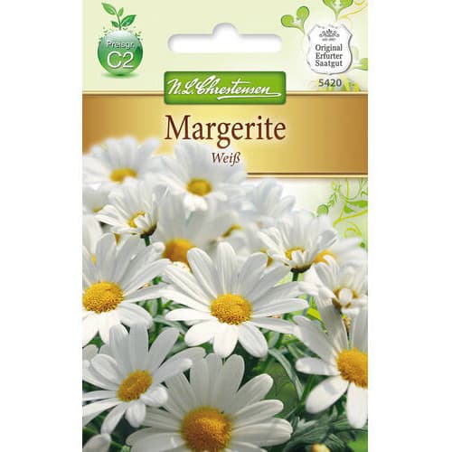 Margerite Weiss interface.art Bild 1 Margerite Weiss interface.image 1 interface.art 78972