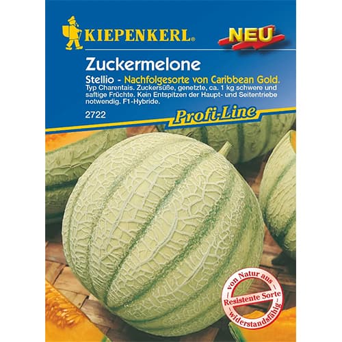 Zuckermelone Stellio F1 interface.art Bild 1 Zuckermelone Stellio F1 interface.image 1 interface.art 77486