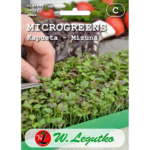 Microgreen - Asiasalat Mizuna interface.art Bild 1 Microgreen - Asiasalat Mizuna interface.image 1 interface.art 78688