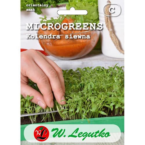 Microgreen - Blattkoriander interface.art Bild 1 Microgreen - Blattkoriander interface.image 1 interface.art 78690