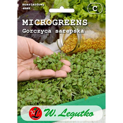 Microgreen - Gelbsenf interface.art Bild 1 Microgreen - Gelbsenf interface.image 1 interface.art 78683