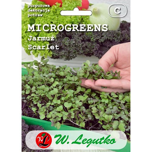 Microgreen - Grünkohl Scarlet rot interface.art Bild 1 Microgreen - Grünkohl Scarlet rot interface.image 1 interface.art 78686