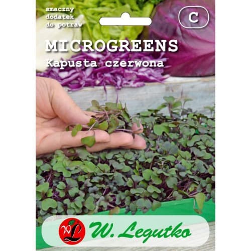 Microgreen - Rotkohl interface.art Bild 1 Microgreen - Rotkohl interface.image 1 interface.art 78689
