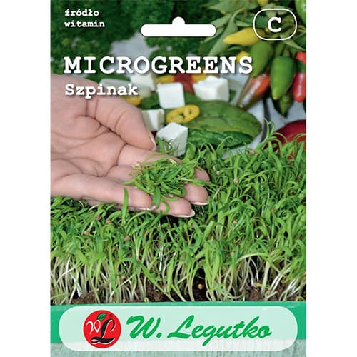 Microgreen - Spinat interface.art Bild 1 Microgreen - Spinat interface.image 1 interface.art 78703