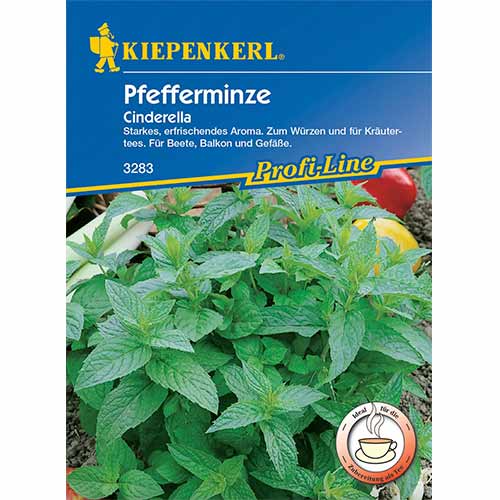 Pfefferminze Conderella interface.image 1 interface.art 96646