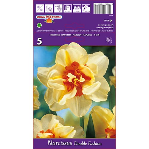 Narzisse Double Fashion interface.image 1 interface.art 67413