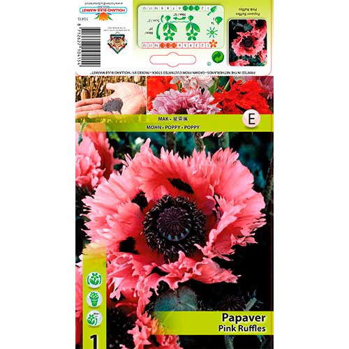 Orientalischer Mohn Pink Ruffles interface.art Bild 1 Orientalischer Mohn Pink Ruffles interface.image 1 interface.art 76342