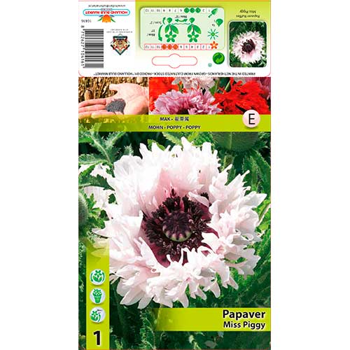 Orientalischer Mohn Ruffles Miss Piggy interface.art Bild 1 Orientalischer Mohn Ruffles Miss Piggy interface.image 1 interface.art 76343