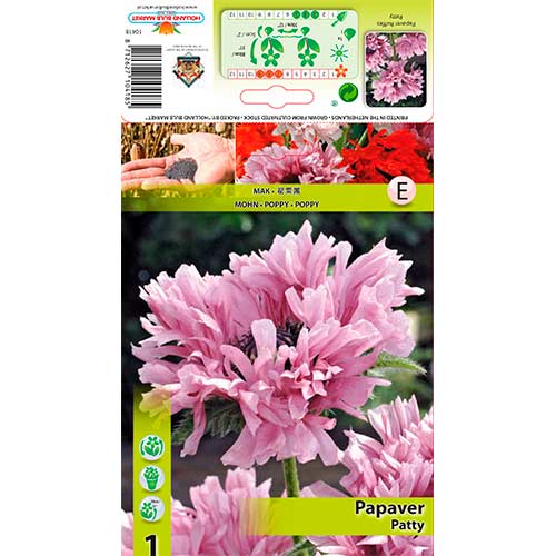 Orientalischer Mohn Ruffles Patty interface.art Bild 1 Orientalischer Mohn Ruffles Patty interface.image 1 interface.art 76344