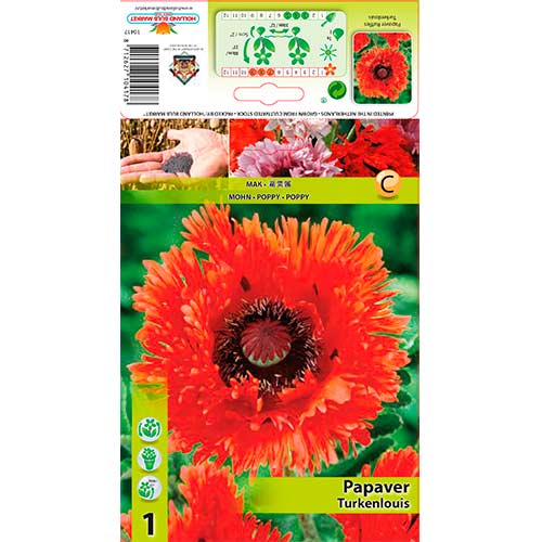 Orientalischer Mohn Ruffles Turkenlouis interface.art Bild 1 Orientalischer Mohn Ruffles Turkenlouis interface.image 1 interface.art 76609