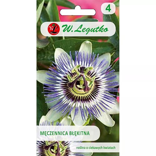 Passionsblume blau interface.art Bild 1 Passionsblume blau interface.image 1 interface.art 69604