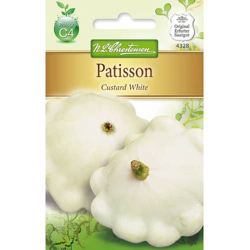 Patisson Custard White interface.art Bild 1 Patisson Custard White interface.image 1 interface.art 78812