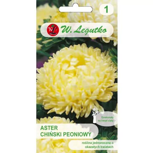 Peonienaster gelb Legutko interface.art Bild 1 Peonienaster gelb Legutko interface.image 1 interface.art 78521