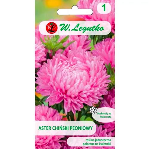 Peonienaster rosa Legutko interface.art Bild 1 Peonienaster rosa Legutko interface.image 1 interface.art 78524